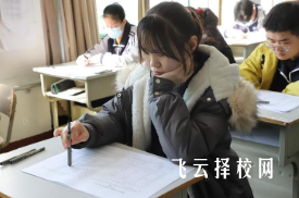 如何規劃職高升學路徑