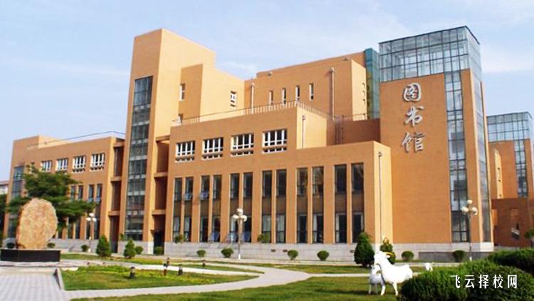 職高畢業生職業生涯規劃