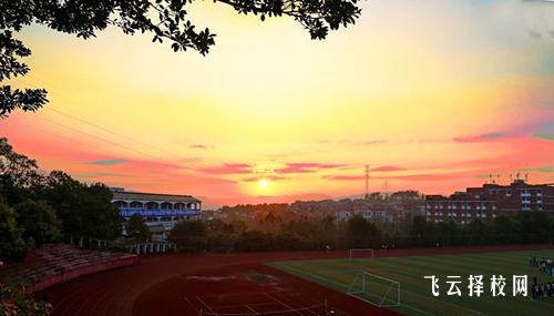 職高升學,如何提升技能競爭力