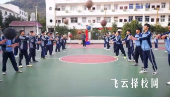 職高學費與就業率是否成正比