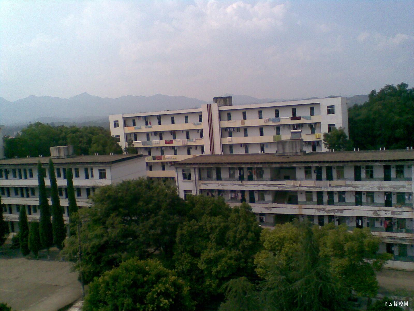 職高與中職的課程差異