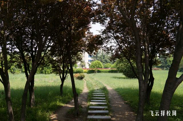 職高學校的社團活動對學生有何幫助