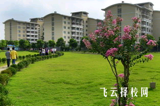 職高學校的校園文化如何影響學生成長