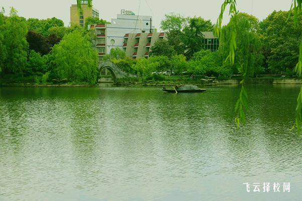 職高學校的學業負擔和學習環境對比