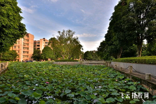 職高學校的學業負擔和學習環境對比