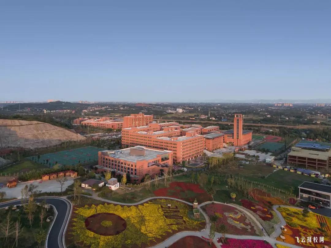 職高課程安排如何影響學生的未來