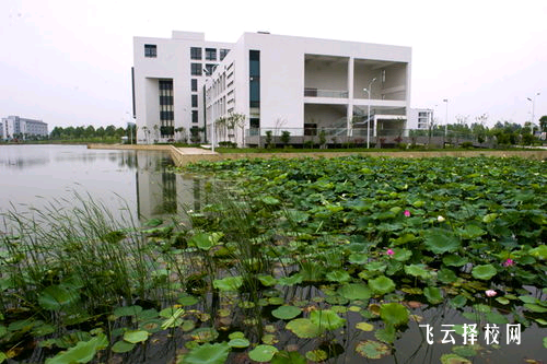 職高學校環境與教學資源對比