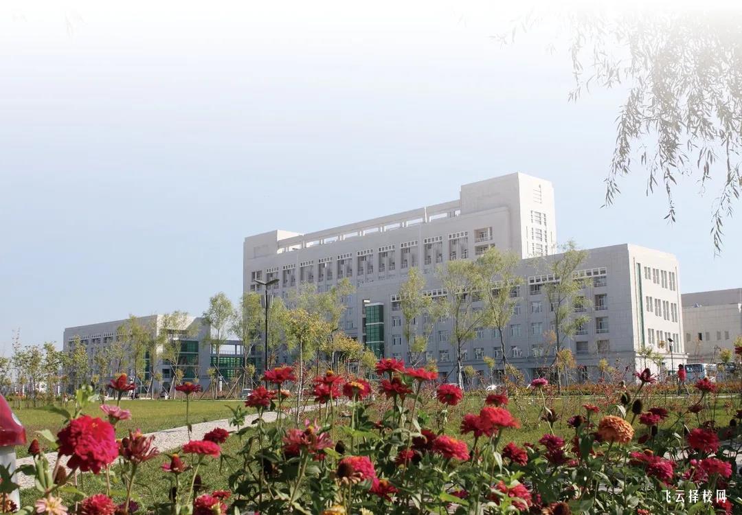 職高專業(yè)推薦,如何選好