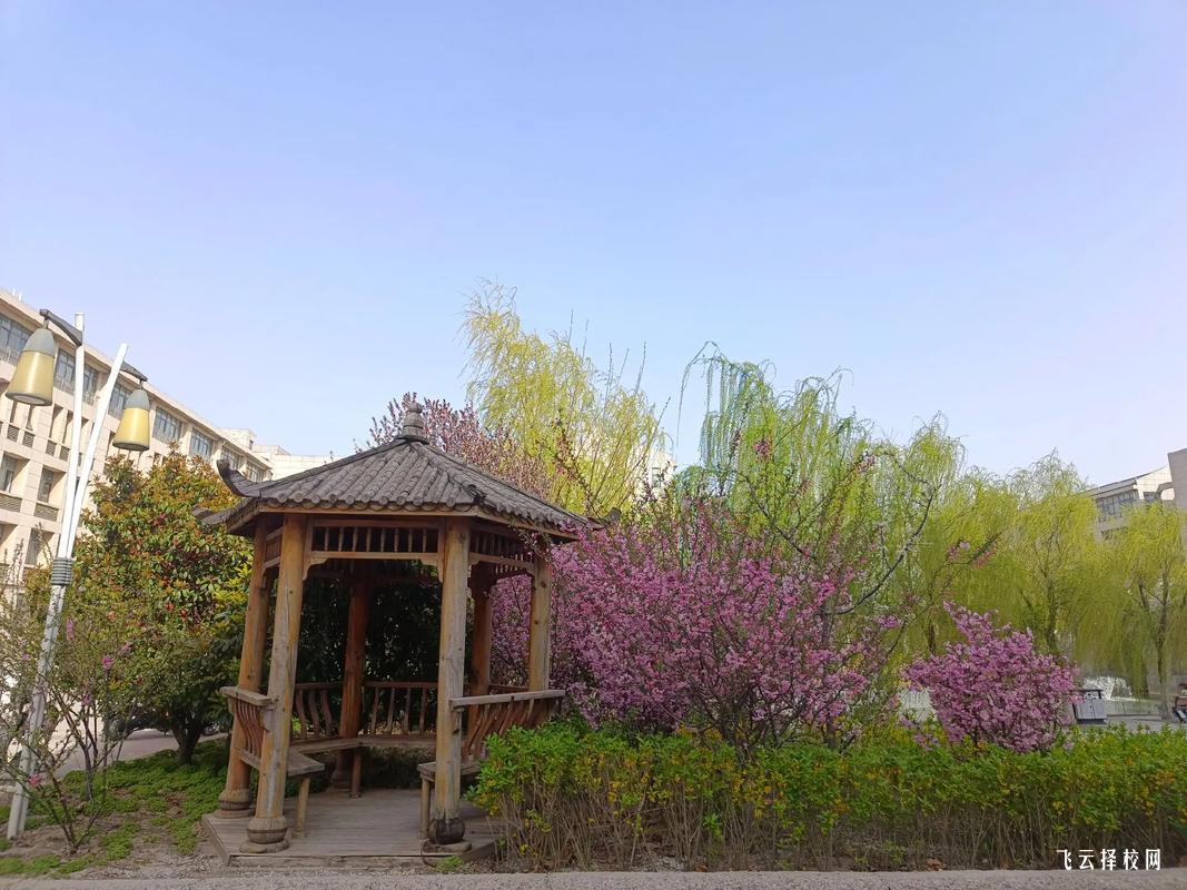 如何評估職高學校的升學輔導質量