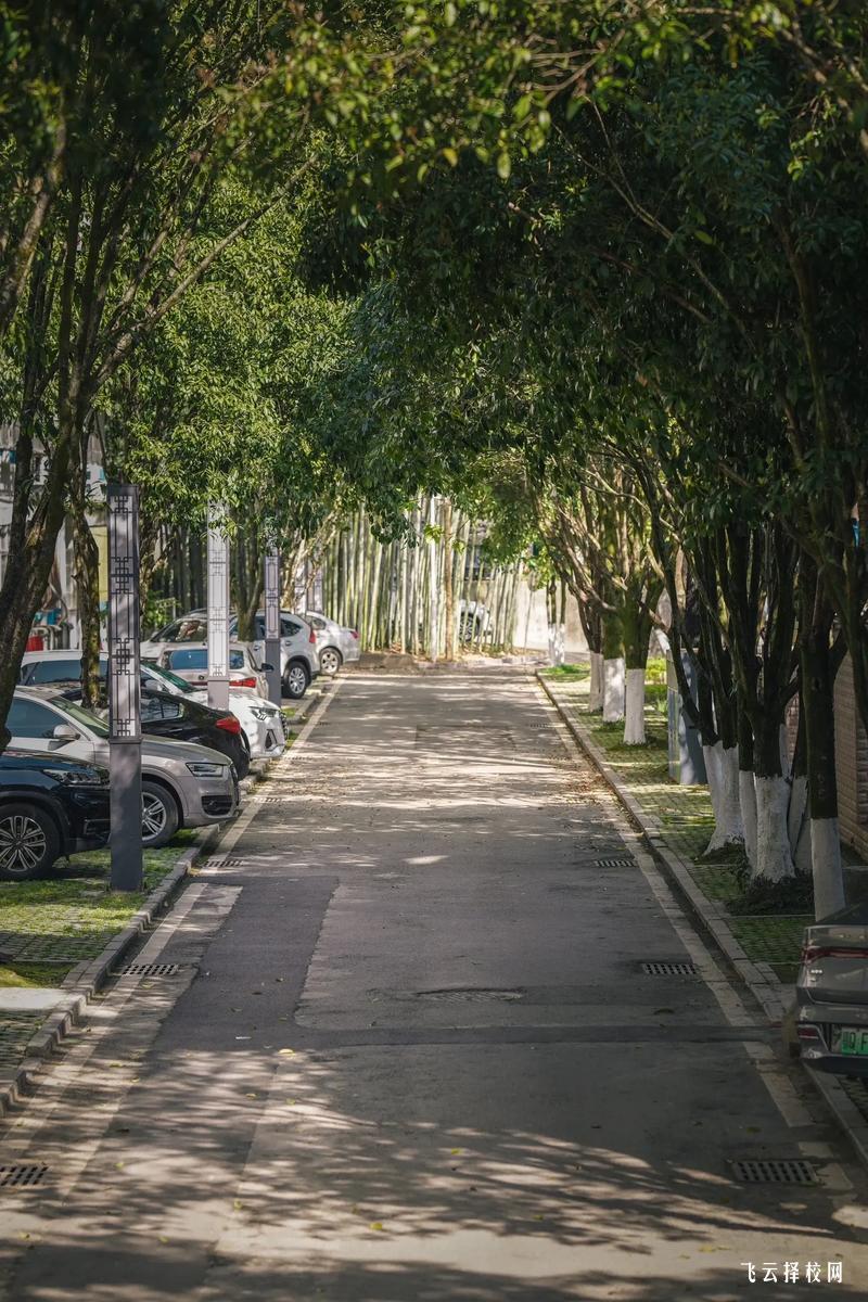 如何通過職高的課外活動提高綜合素質