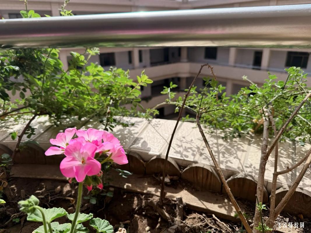 如何為孩子選擇職高學(xué)校,減輕壓力