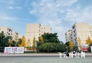 成都中醫藥大學附屬醫院針灸學校,中醫針灸專業的未來前景