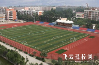 成都市體育運動學校如何成為專業體育教練