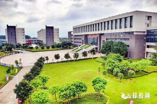 四川廣播電視中等專業學校傳媒類專業就業前景