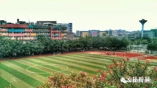 四川交通運(yùn)輸職業(yè)學(xué)校物流管理專業(yè)發(fā)展前景