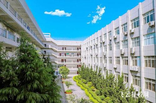 都江堰職中高考班歷年錄取數據