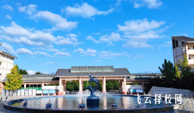 都江堰職中與普通高中對比分析報告