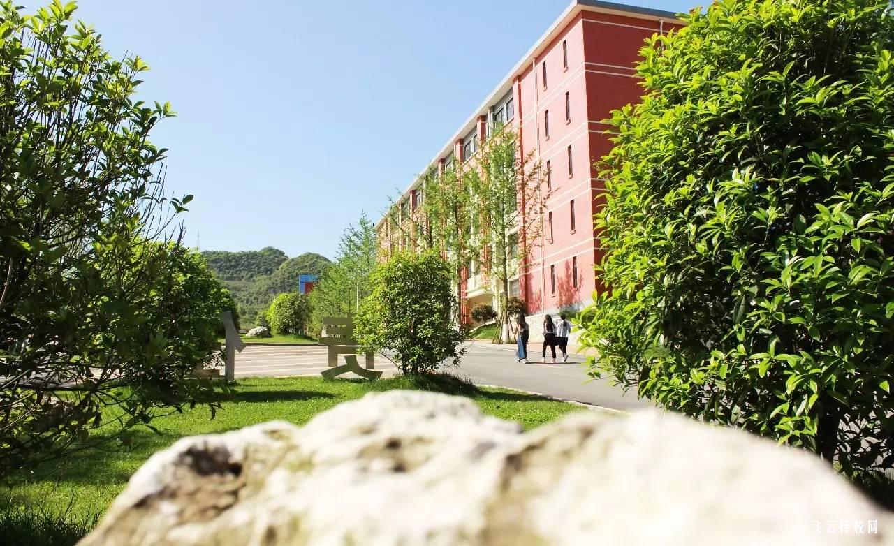 邛崍職高計算機應用專業課程表