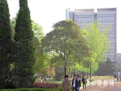 志翔職校殘疾人就業幫扶案例