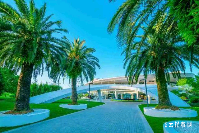 大邑縣職業高級中學的升學機會