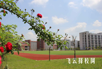 金堂縣職業高級中學課程設置