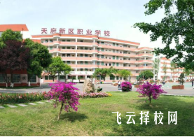 四川天府新區職業學校有哪些選擇？