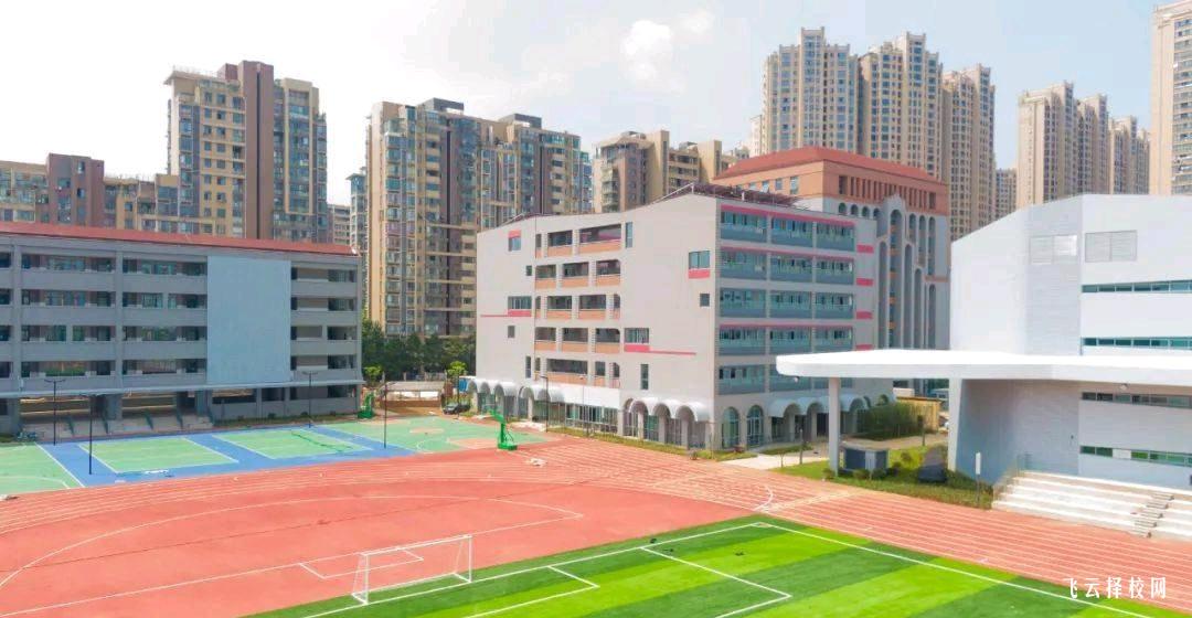 新津區職業高級中學專業選擇指南