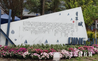 成都青蘇職中財經類專業升學與就業前景