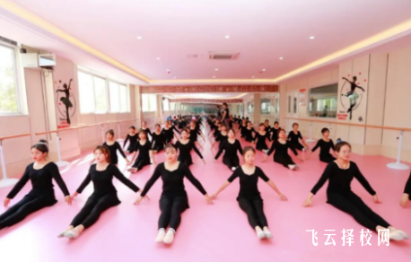 崇州職教中心幼教專業課程體系及教學特色