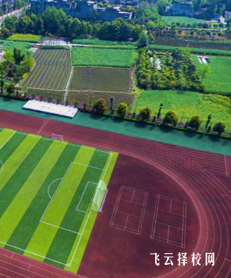 郫都友愛職校職教高考升學路徑與備考技巧