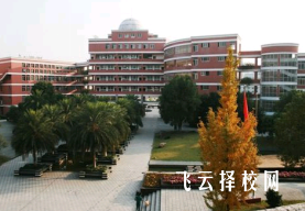 適合女生的中職專業(yè)類型推薦指南