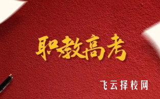 職教高考文化課與技能考試占比解析