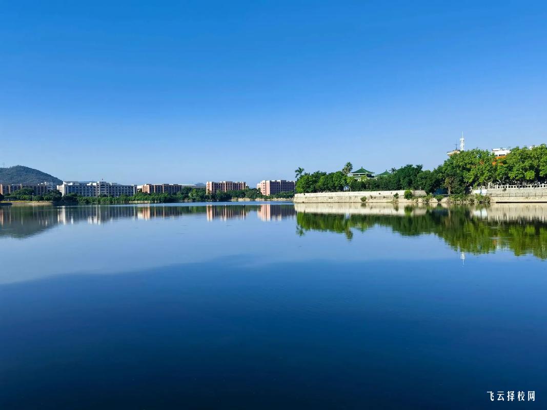 中職生獲得企業認可的技能培養重點