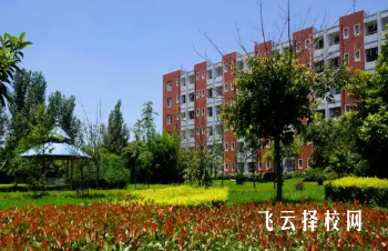 成都指南針職業(yè)技術(shù)學校文化課教什么？語數(shù)外課程占比