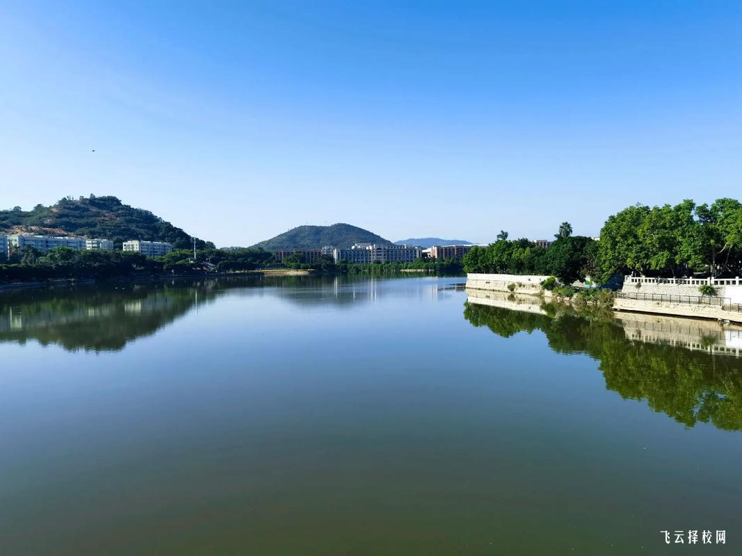 四川托普計算機職業學校IT專業強嗎？初中生學編程有前途嗎