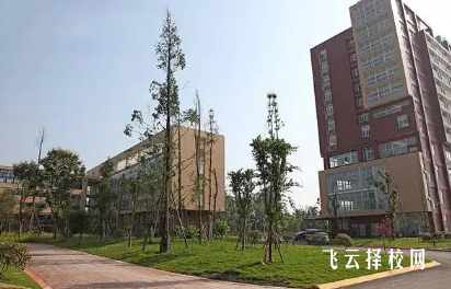 四川現(xiàn)代藝術學校藝術類升學率調(diào)查:適合初三學生報考嗎