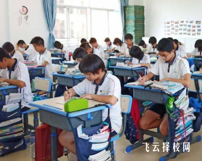 四川中考錄取率最新分析：這些地區上普高更容易