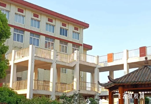 2025四川高中招生計(jì)劃新變化 這些專業(yè)名額翻倍招