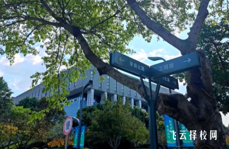 四川建筑職業(yè)技術(shù)學(xué)院2025單招錄取分?jǐn)?shù)線