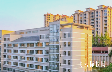 眉山職業技術學院2025單招錄取分數線