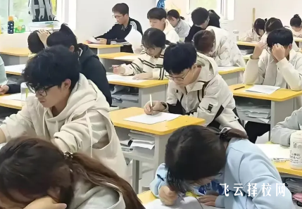 四川單招自學VS培訓哪個好?