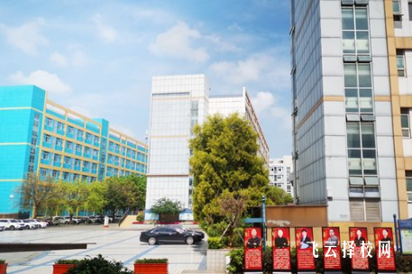 明陽單招適合基礎差的學生嗎?